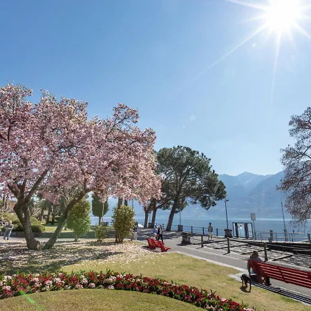 Modern-18 Ascona
